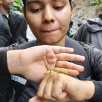 Nature's Classroom: A Journey of Discovery with Nandini Dubey