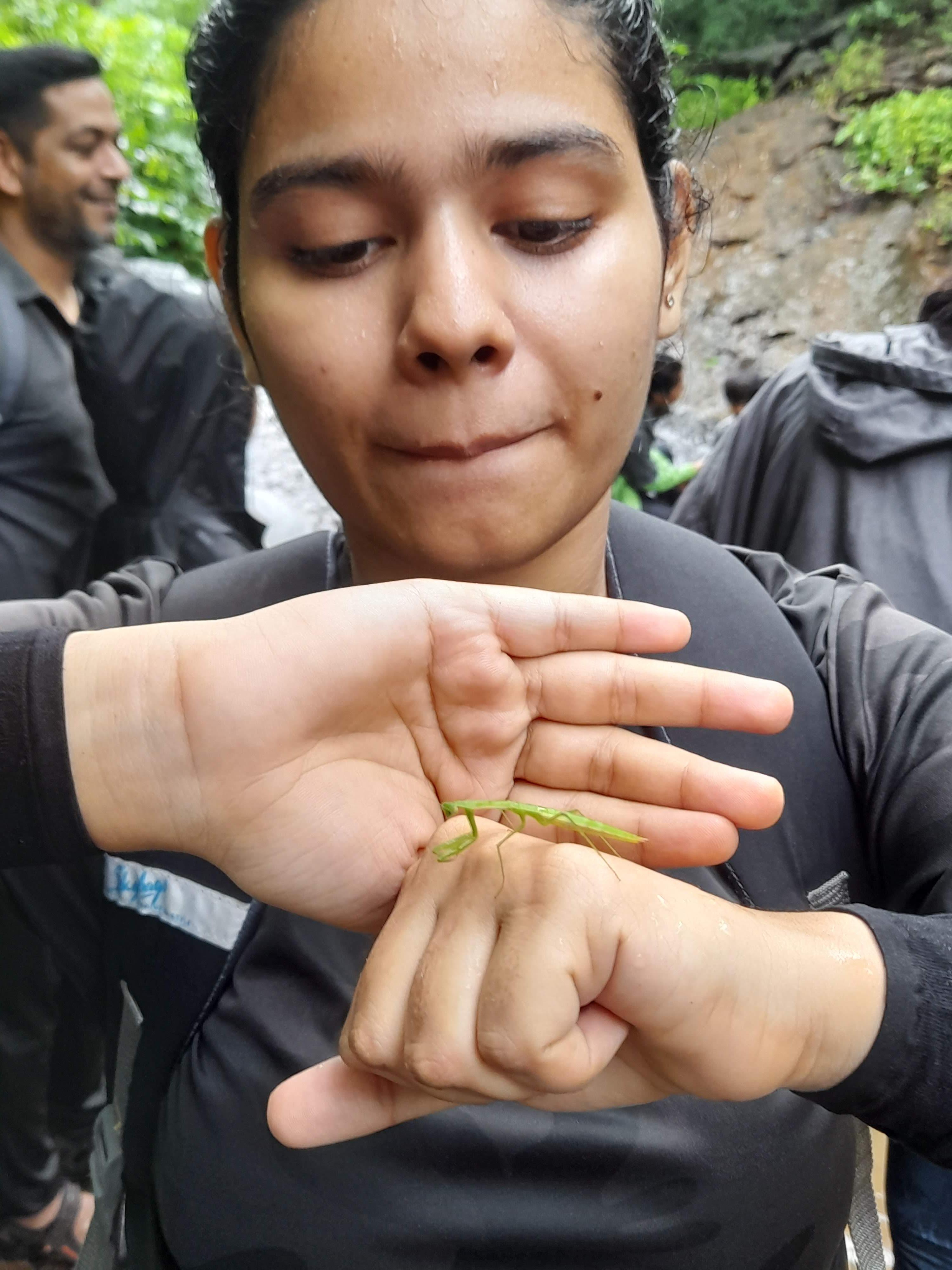 nature-s-classroom-a-journey-of-discovery-with-nandini-dubey