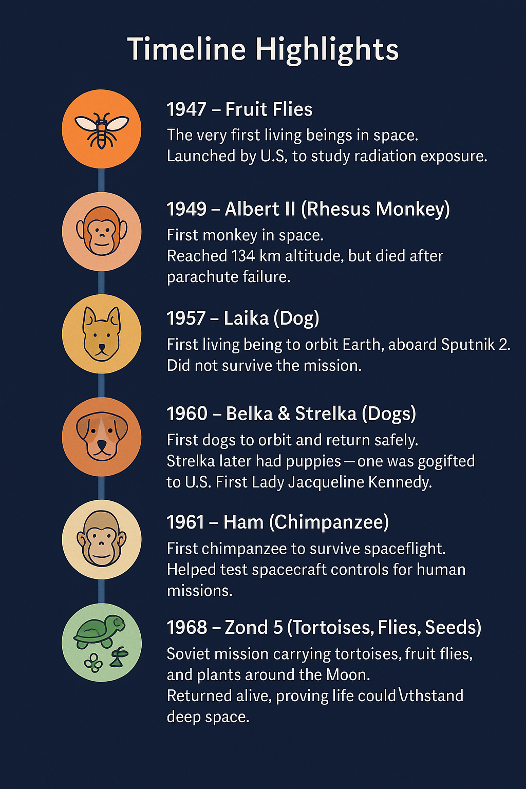 Space travel Infigraphic on Animals