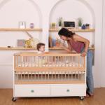 LittleBird: Leading Indian Baby Furniture with Safety and Innovation